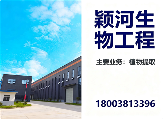 颖河三门峡线上分站
